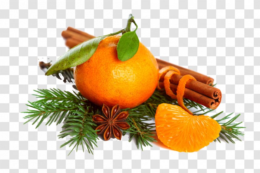 Holiday Essential Oil Food New Year - Christmas - Orange Transparent PNG