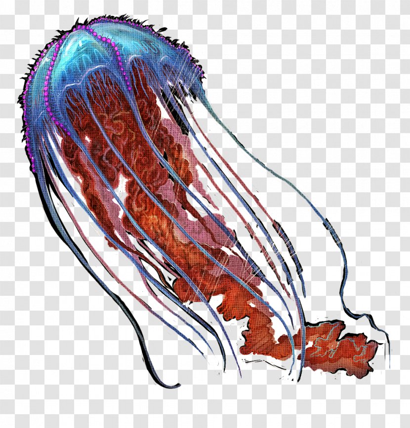 True Jellyfishes ARK: Survival Evolved Marine Invertebrates Cotylorhiza Tuberculata - Invertebrate - Carnivore Transparent PNG