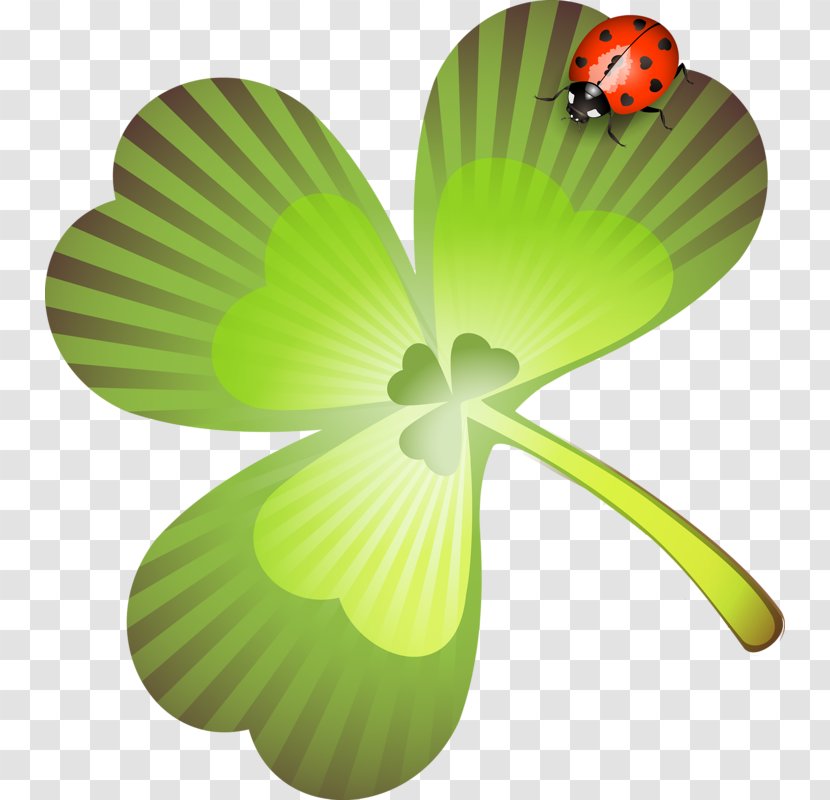 Saint Patrick's Day Holiday Collage Clip Art - 2017 Transparent PNG