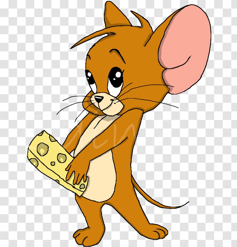 Jerry Mouse Tom And Coloring Cat Drawing - Wildlife Transparent PNG