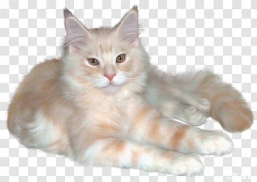 Persian Cat Kitten Ragdoll Cymric Clip Art - Cuteness Transparent PNG