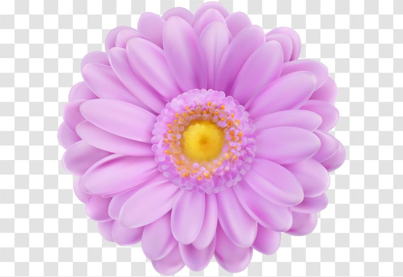 Pink Flowers - Violet - Purple Transparent PNG