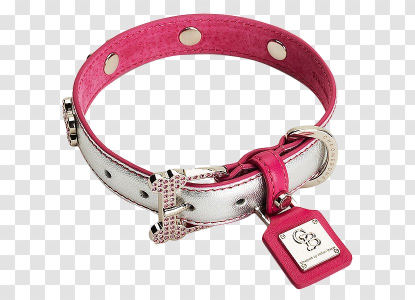 Dog Collar Puppy Chihuahua Dachshund - Leather Transparent PNG