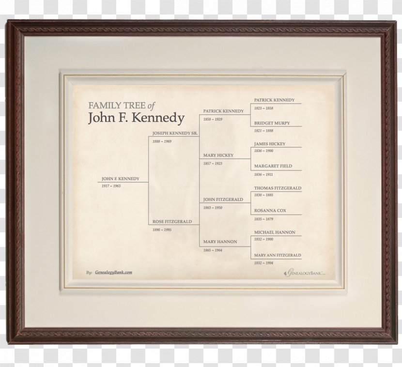 Family Tree Genealogy Ancestor Picture Frames - Generation - Wall Painting Transparent PNG