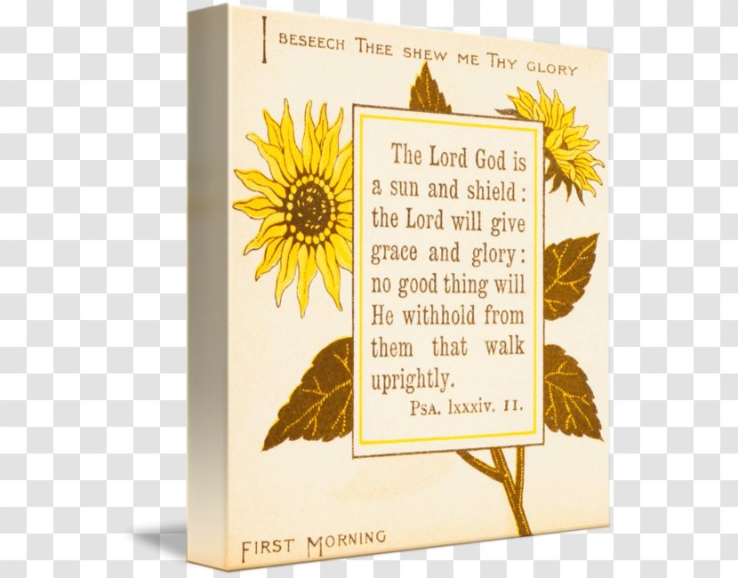 Bible Book Common Sunflower M Poetry Transparent PNG