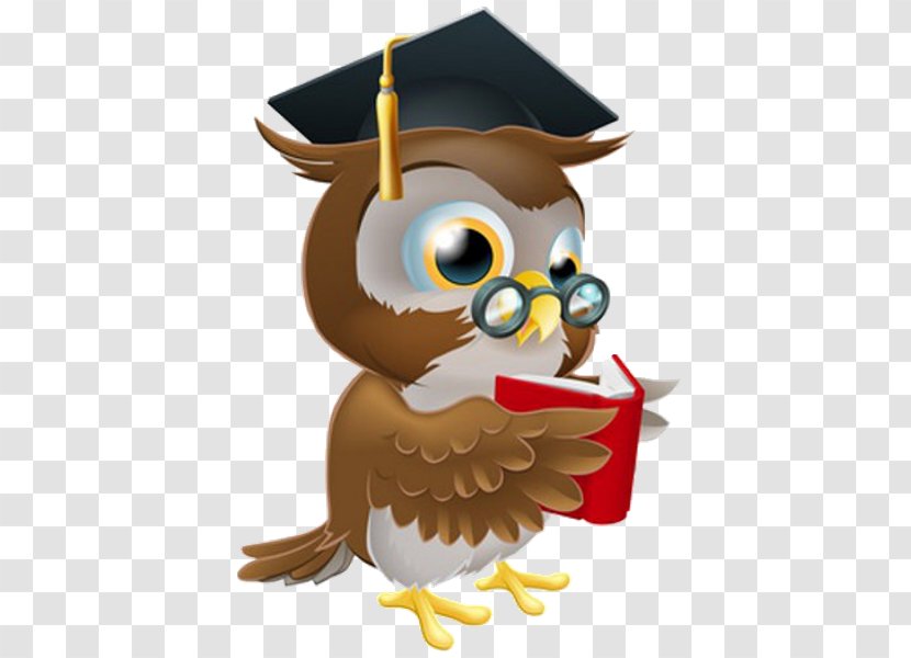 Owl Diploma Professional Certification Academic Degree - Bird Transparent PNG