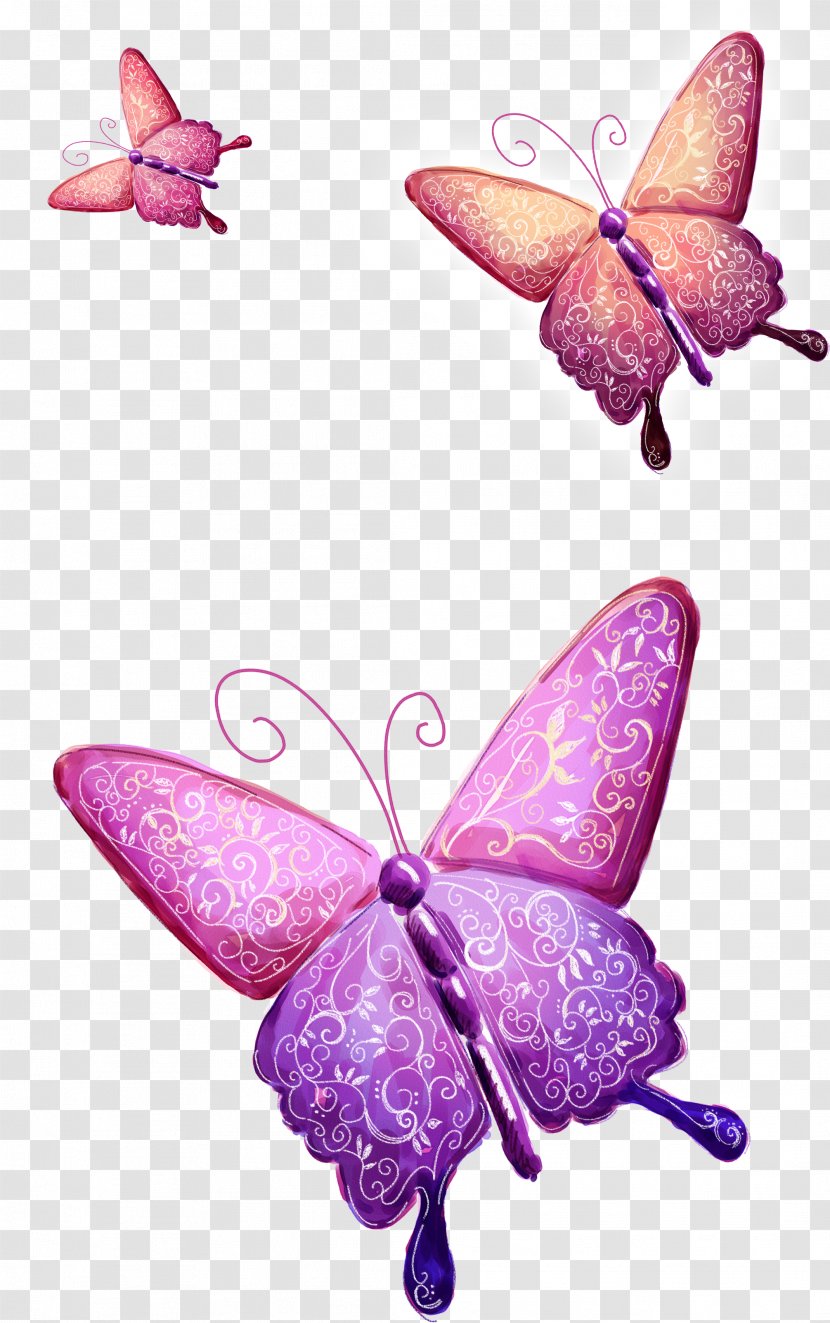 Flower Floral Design Painting Illustration - Art - Butterfly Transparent PNG