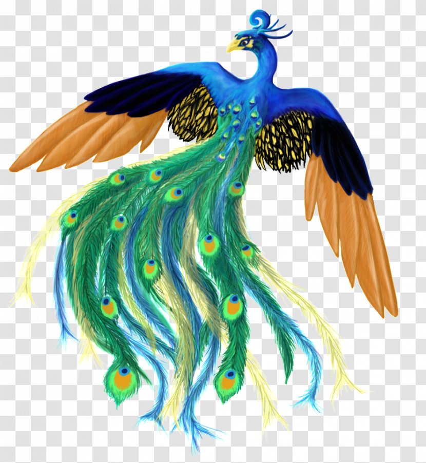 Feather Bird Peafowl Clip Art - Of Prey - Peacock Transparent PNG