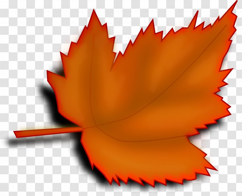 Clip Art Autumn Leaf Color Trees And Leaves - Orange Transparent PNG
