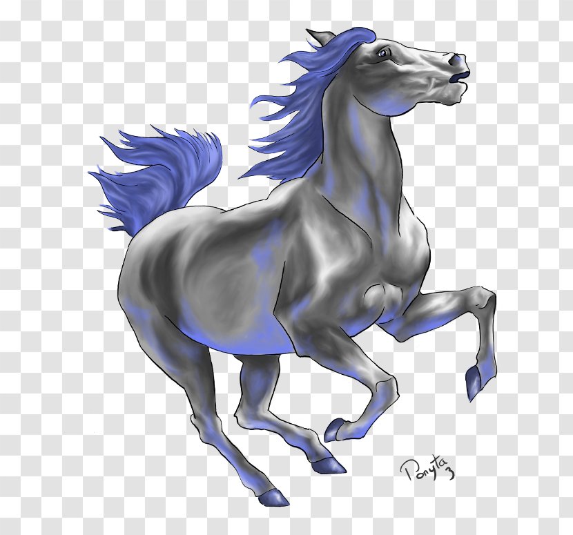 Drawing Mustang Stallion Birthday - Watercolor - Frame Transparent PNG