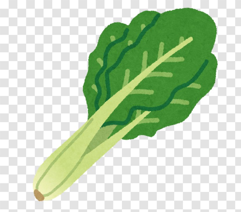 Komatsuna Karashi Vegetable Nozawana Spinach Transparent PNG