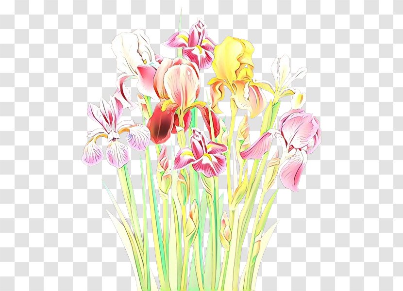 Flower Cut Flowers Plant Pink Pedicel - Petal Iris Transparent PNG