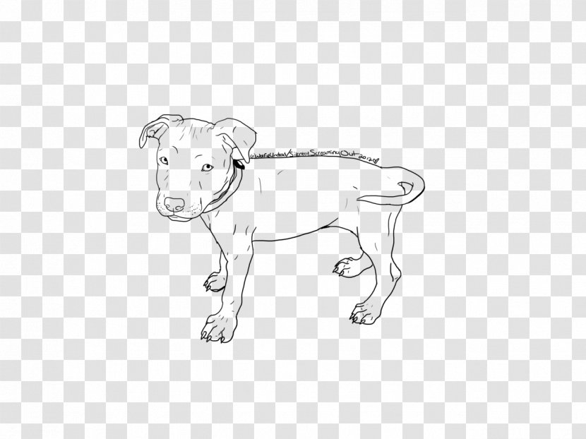 American Pit Bull Terrier Staffordshire Bulldog - Joint - Pitbull Transparent PNG