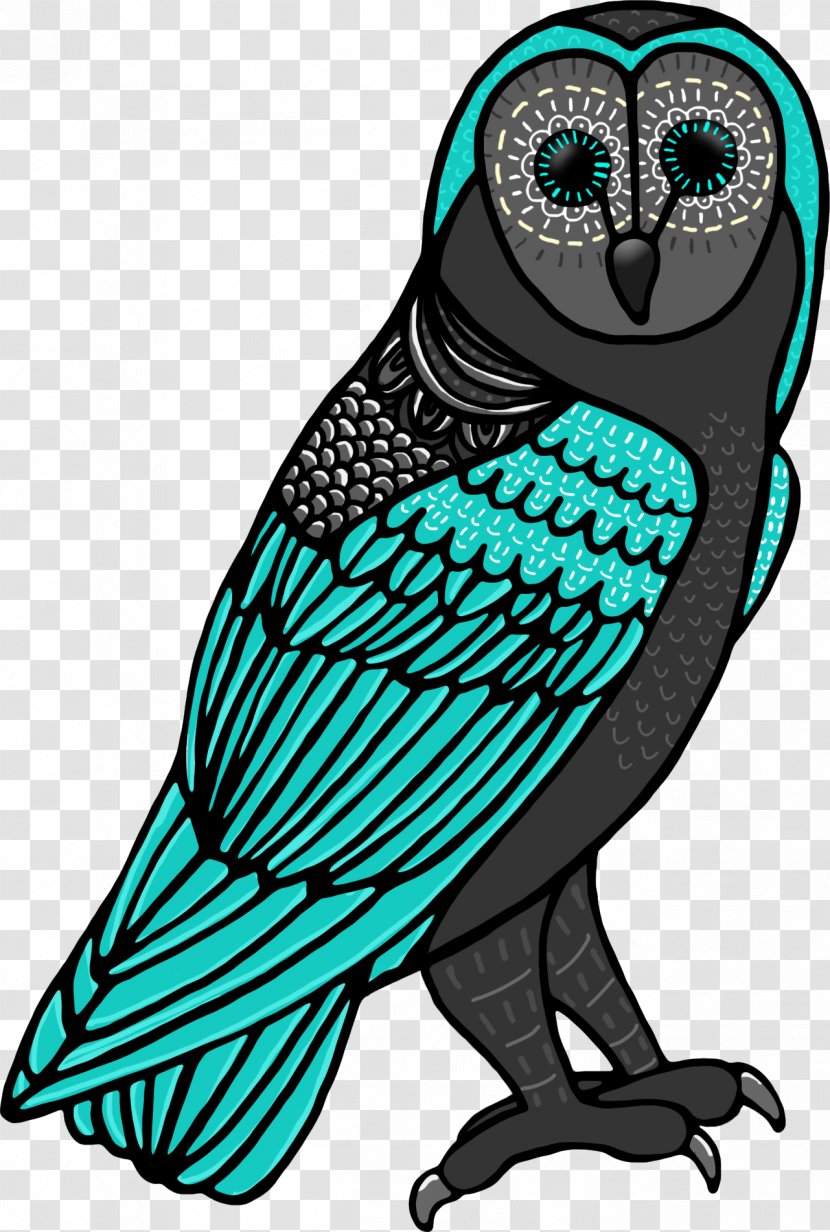 Teacher Background - Beak - Barn Owl Bird Of Prey Transparent PNG