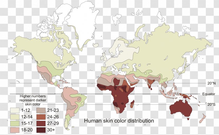 Human Skin Color Genetics Polygene - World - Map Transparent PNG