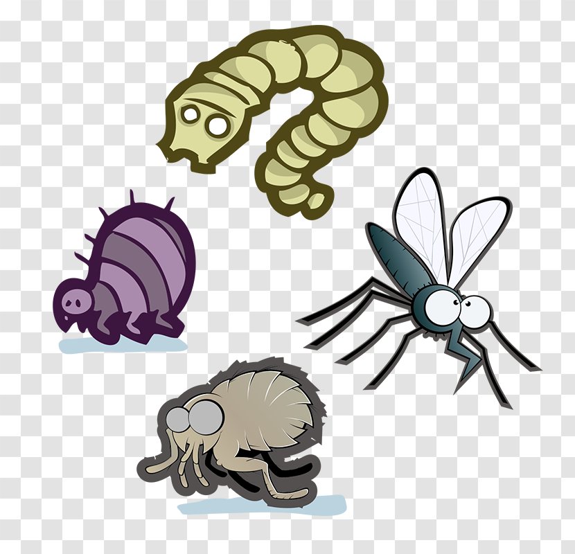 Crab Cartoon - Hermit - Membranewinged Insect Animal Figure Transparent PNG