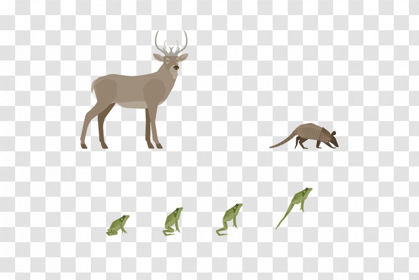Reindeer Antler Fauna Wildlife - Tail Transparent PNG