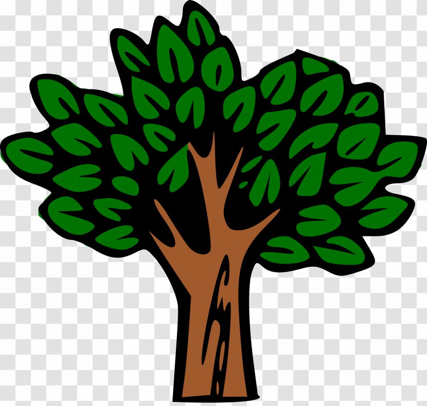 Clip Art Branch Forest Tree Graphics - Leaf Transparent PNG