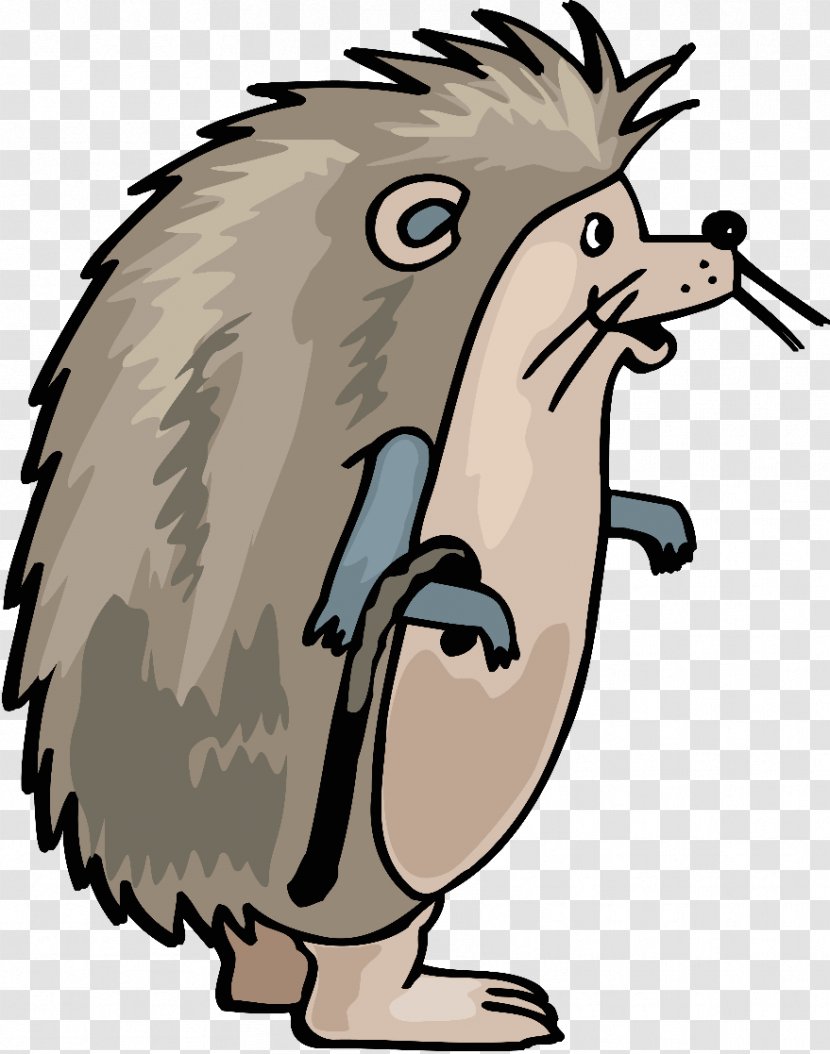 European Hedgehog Clip Art - Bear - Cartoon Transparent PNG