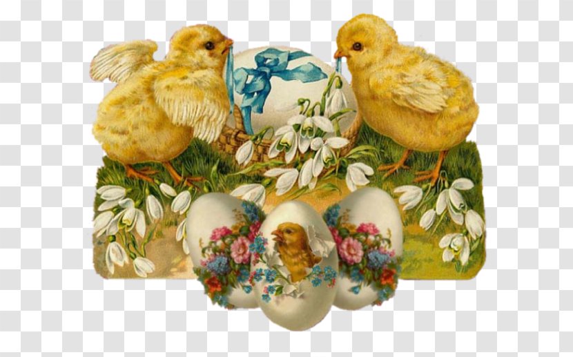 Easter Postcard Post Cards Egg Wedding Invitation Transparent PNG