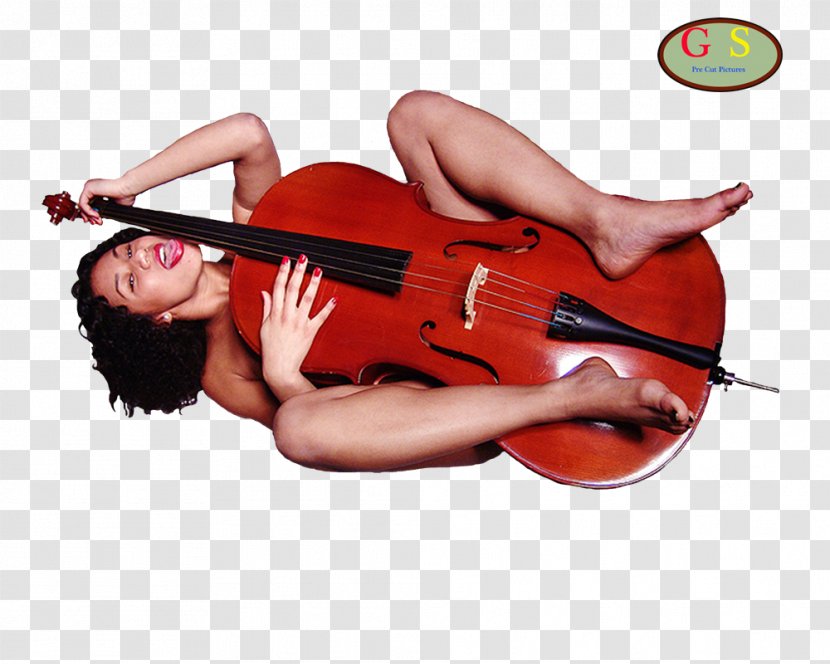 Cello Violin Viola Double Bass - Watercolor Transparent PNG