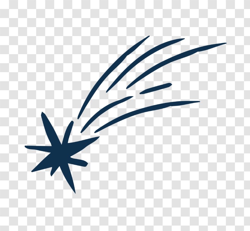 Shooting Star - Plant - Wing Transparent PNG