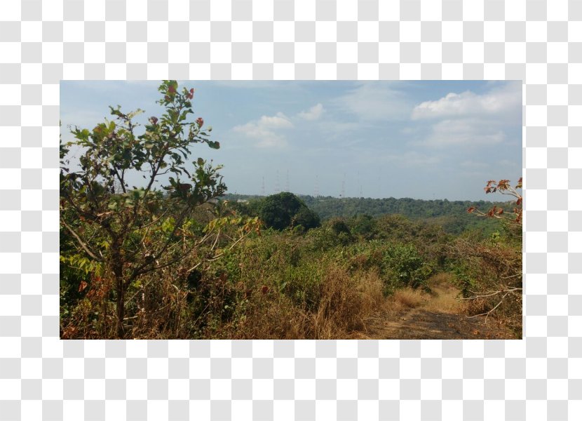 Goa Homes & Estates Land Lot Moira, Property Real Estate - Ecoregion - Plot For Sale Transparent PNG