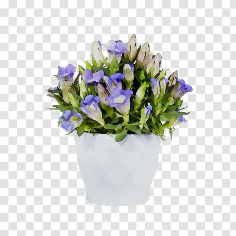 Bellflower Cut Flowers Floral Design Flower Bouquet - Iris - Family Transparent PNG