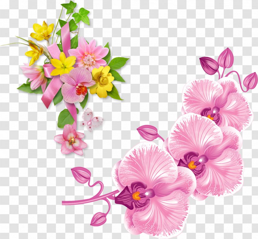 Clip Art Vector Graphics Orchids Royalty-free Illustration - Floristry - Moth Transparent PNG