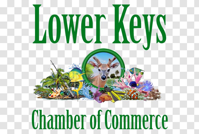 Key West Florida Keys Lower Chamber Of Commerce Sea Vista Estate - Sugarloaf - Business Transparent PNG