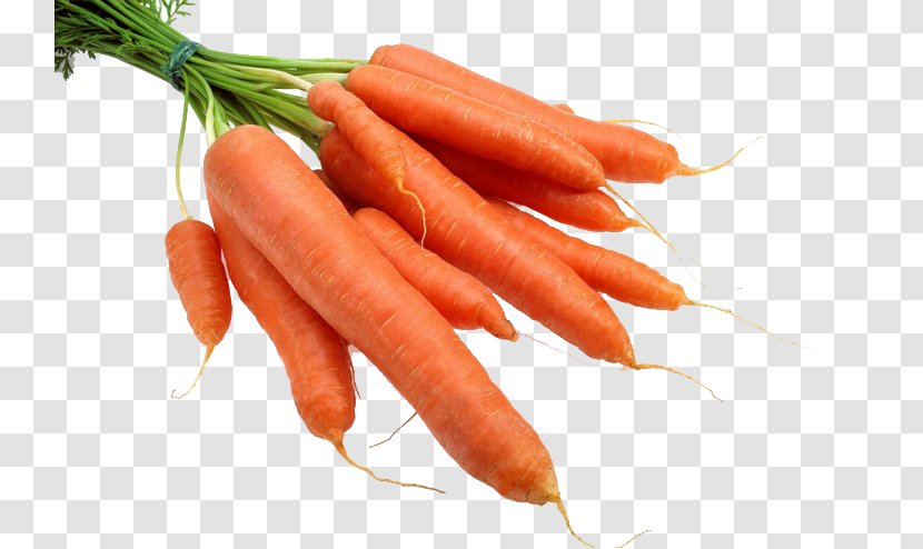 Carrot Radish Gratis - Bunch Of Carrots Transparent PNG
