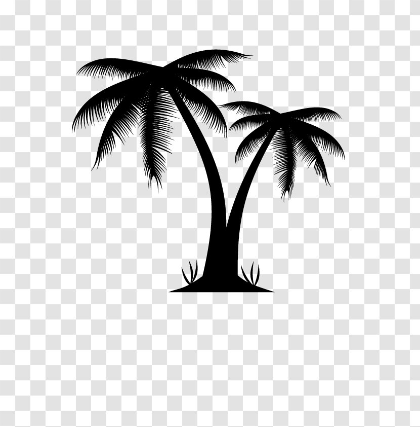 Arecaceae Euclidean Vector Illustration - Black And White - Palm Tree Transparent PNG