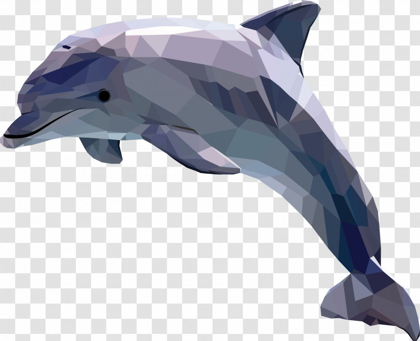 Dolphin Art Drawing - Wholphin Transparent PNG