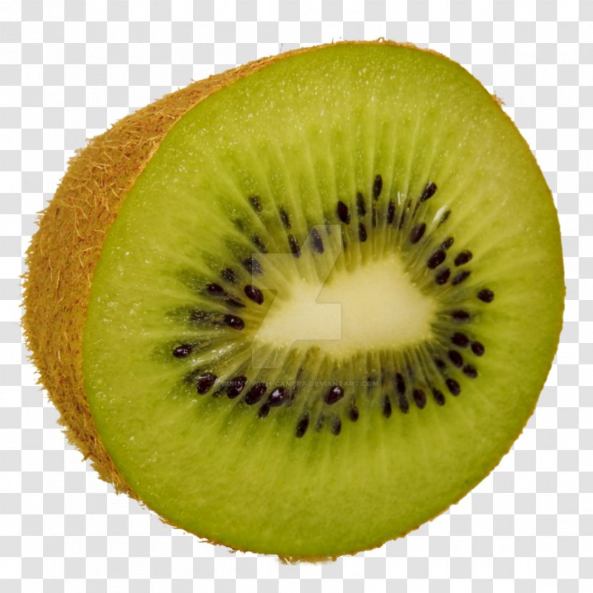 Clip Art Kiwifruit Image - Camera - Kiwi Splash Transparent PNG