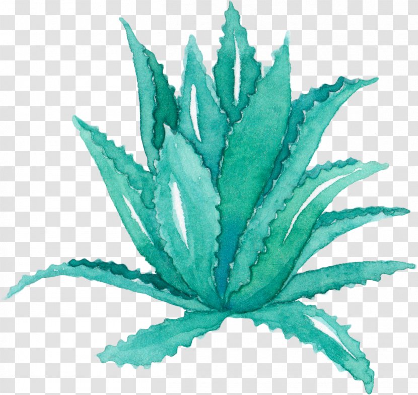 Aloe Vera Leaf Agave Watercolor Painting Succulent Plant - Creative Hand-painted Transparent PNG
