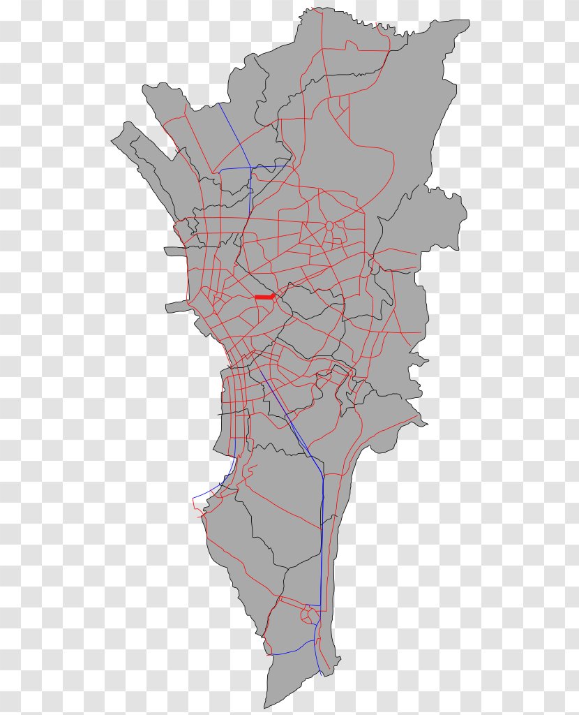 Administrative Divisions Of Metro Manila Mapa Polityczna Capital Region - Tree - Map Transparent PNG