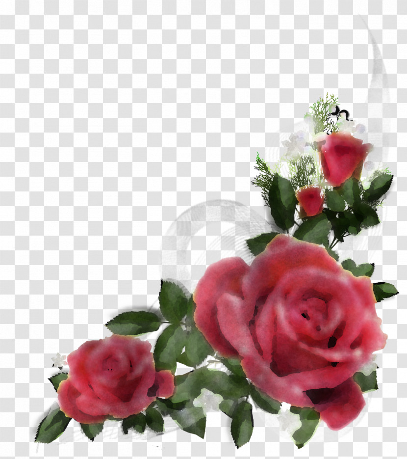 Garden Roses Transparent PNG