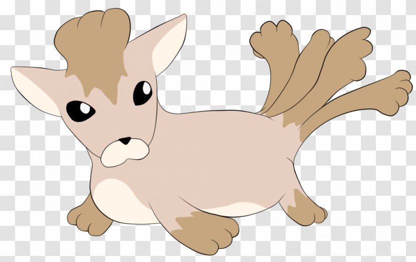 Whiskers Dog Cat Reindeer Macropodidae Transparent PNG