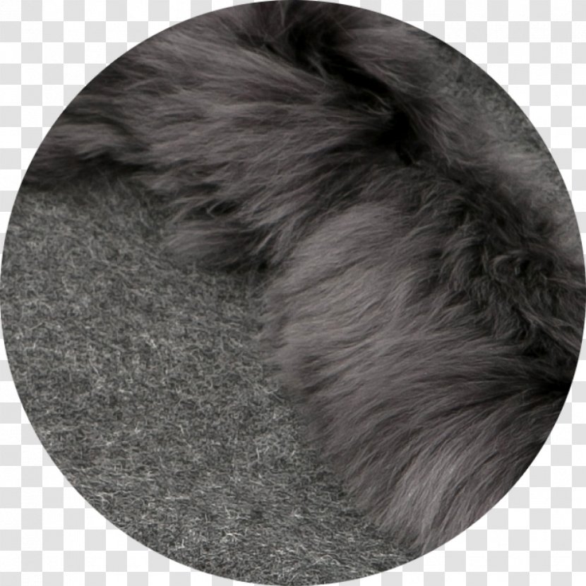 Snout Fur - Blanket Transparent PNG