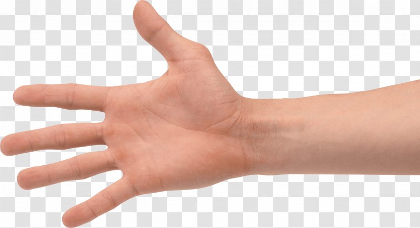 Thumb Hand Gesture - Finger - Hands Image Transparent PNG