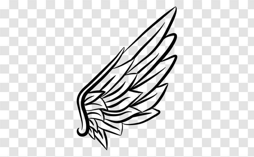 Line Art Drawing Sketch - Tree - Wing Vector Transparent PNG