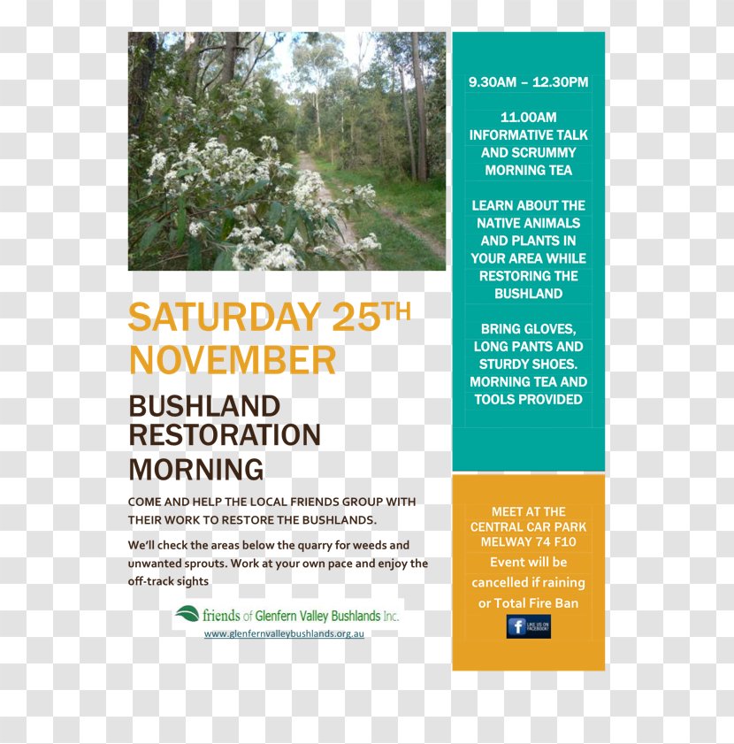 Glenfern Valley Bushlands Bee Tree Road Shrub - Flyer - Working Flyers Transparent PNG
