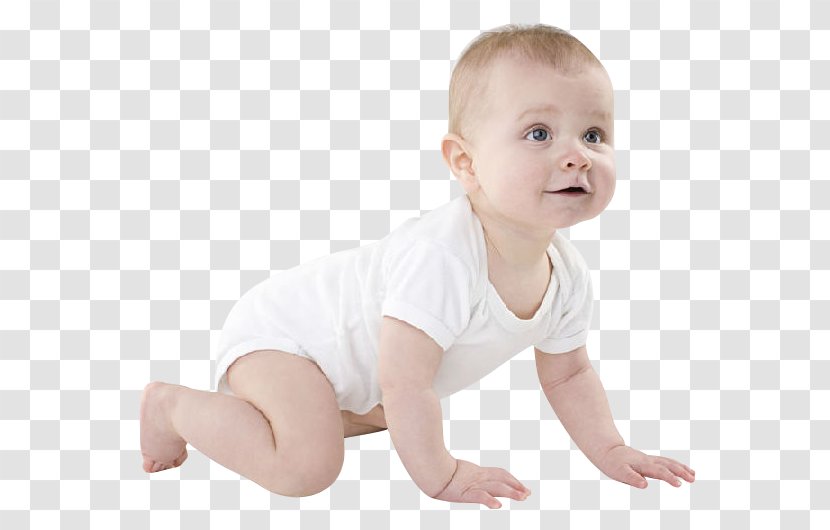 Infant Child Crawling - Joint - Baby Transparent PNG