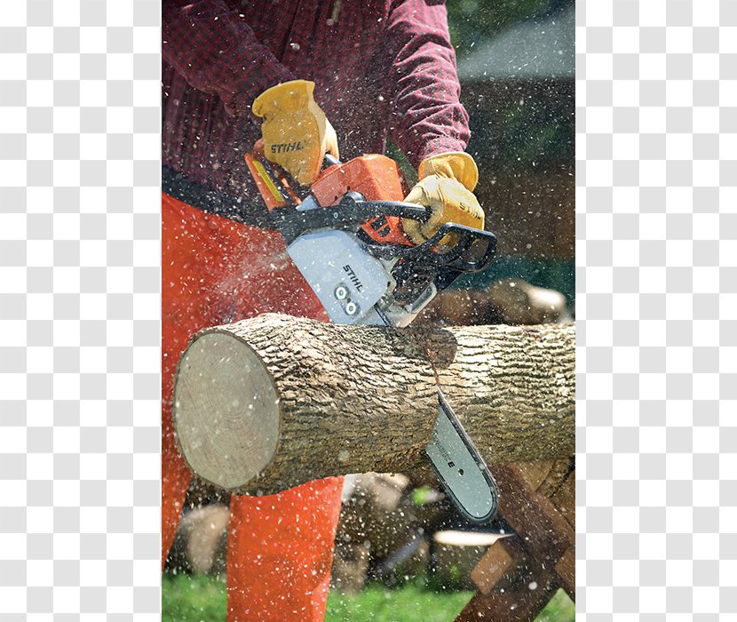 Tree Stihl MS 170 Chainsaw - New Company Ad Transparent PNG