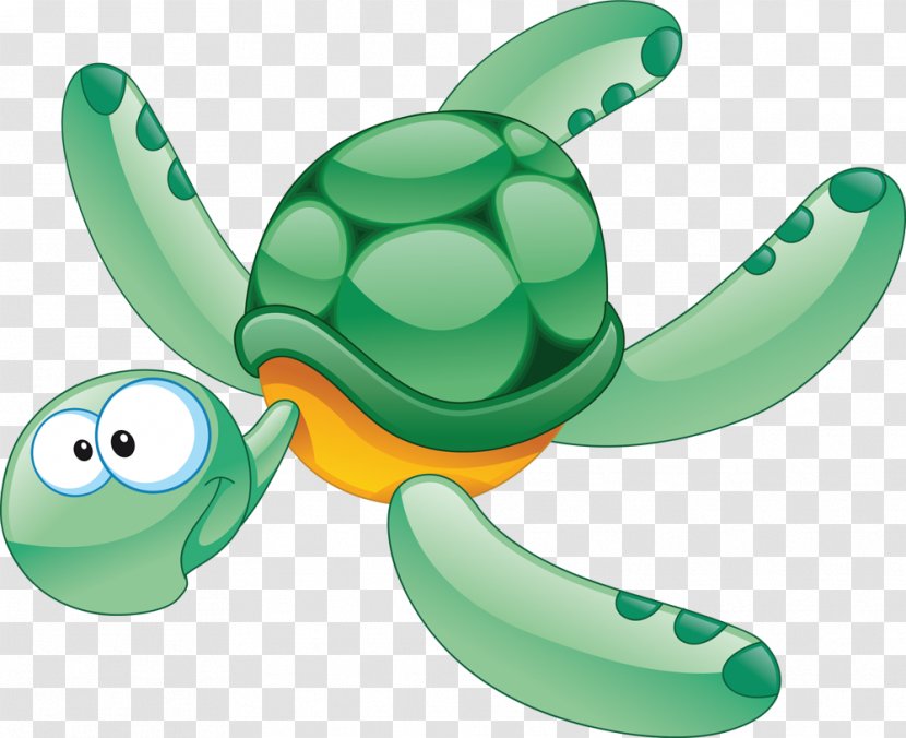 Turtle Aquatic Animal Clip Art Transparent PNG