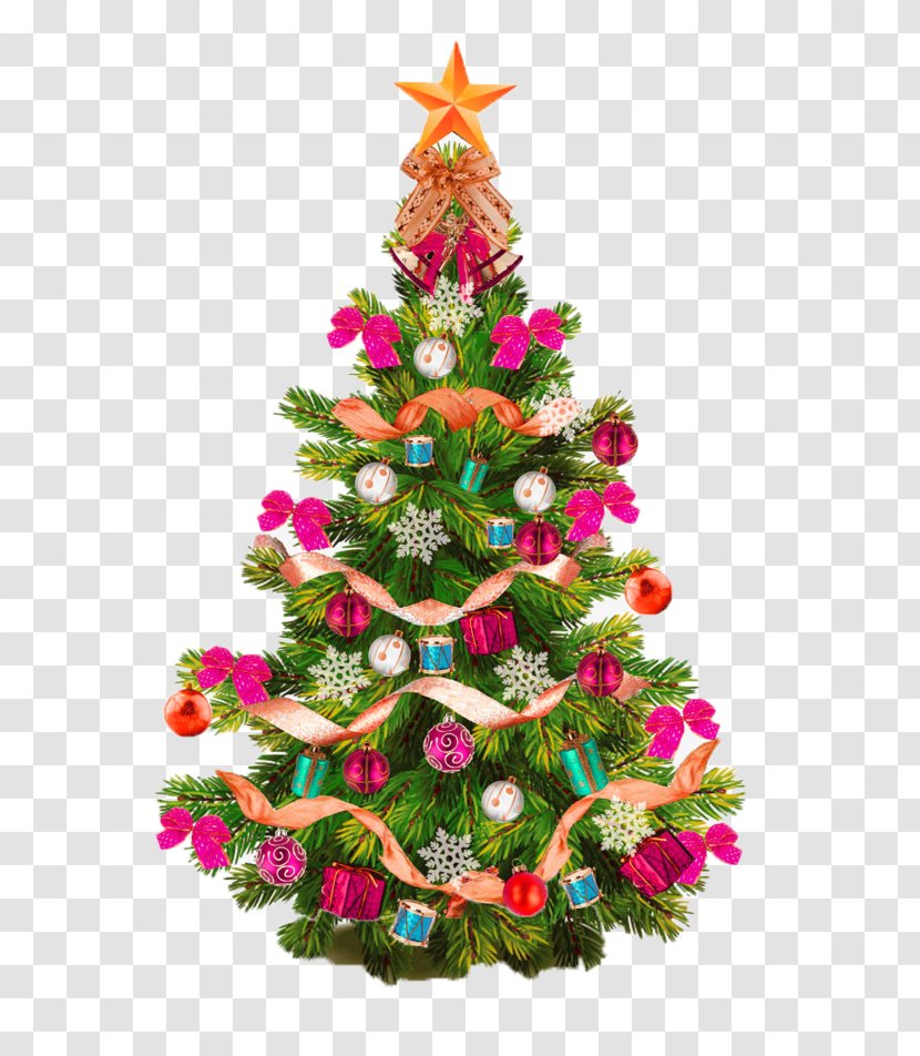 Christmas Tree Decoration Clip Art - Evergreen Transparent PNG
