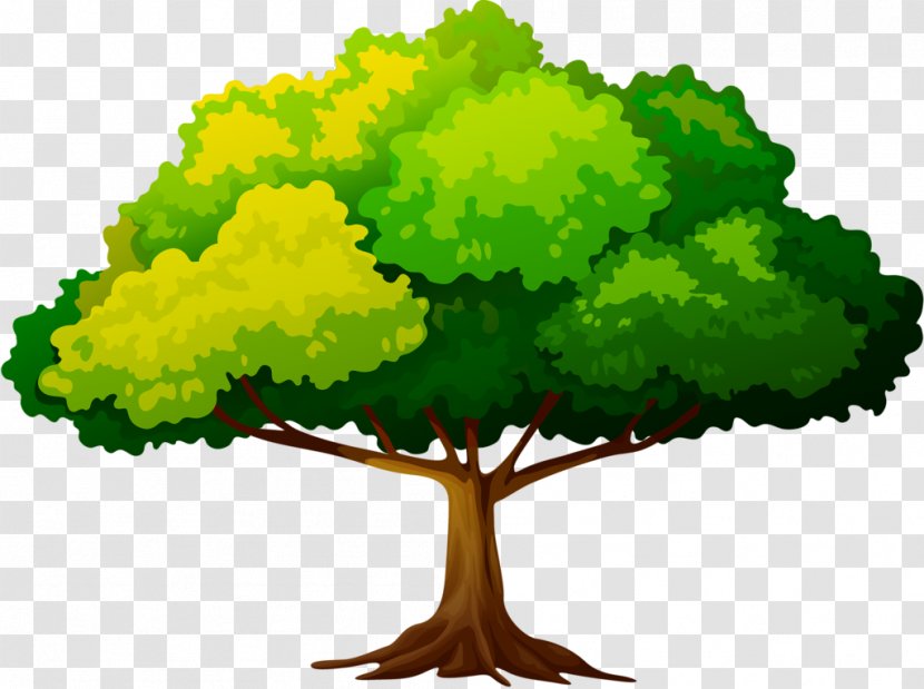 Tree Clip Art Branch Trunk Leaf Transparent PNG