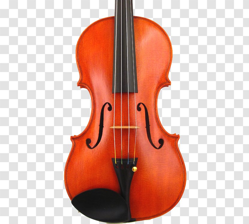 Bass Violin Viola Violone Double - Romeo Antoniazzi Transparent PNG