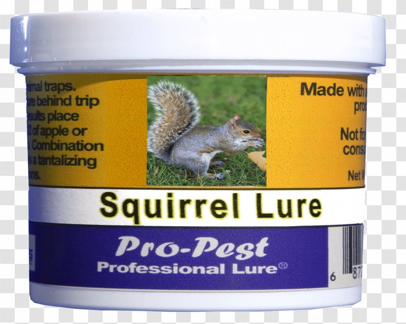 Squirrel Groundhogs Rat Bait - Indianmeal Moth Transparent PNG
