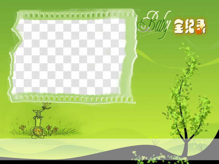 Template Photography Photograph Album - Green Background Photo Elements Transparent PNG